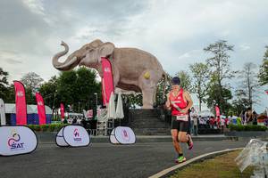 BIB: 
                            <button type="button" onclick="openModal(26528462)" class="btn btn-primary btn-sm float-right btn-popup" data-toggle="modal" data-target=".modal-high-quality">
                        <i class="fas fa-shopping-cart"></i> Add to Cart
                    </button>
                                            <button type="button" onclick="isThisMe(26528462, true)" class="btn btn-success btn-sm float-right btn-popup btn-isme hidden" data-toggle="tooltip" data-placement="bottom" title="นี่คือรูปของคุณใช่ไหม คลิกที่นี่เพื่อเอาเข้าอัลบั้ม">
                        <i class="fas fa-plus"></i> Add to album
                    </button>
                    <button type="button" onclick="isThisMe(26528462, false)" class="btn btn-warning btn-sm float-right btn-popup btn-isnotme hidden">
                        <i class="fas fa-ban"></i> Remove from album
                    </button>